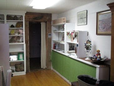 A gallery room with shelves of rocks and mineral specimens, a green wainscot and a log-framed doorway