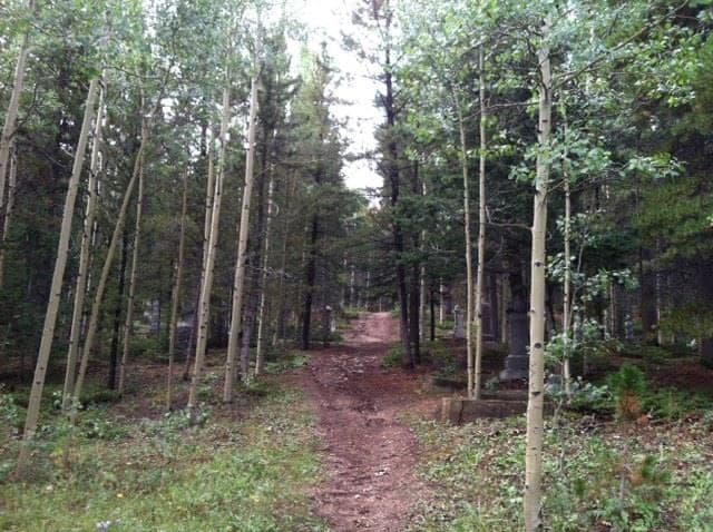 The dirt path into the Russell Gulch Cemetery through aspens and pines